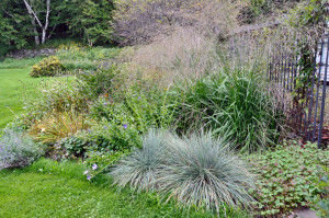 Molinia and Calamagrostis