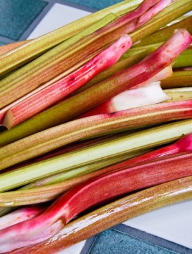 Rhubarb in October
