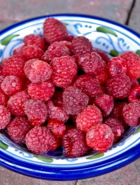 Fall raspberries