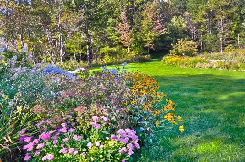September flowers in my Vermont garden