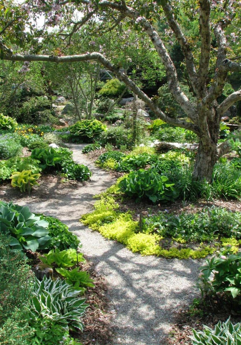 At Cady's Falls Nursery